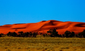 Austarlian Desert